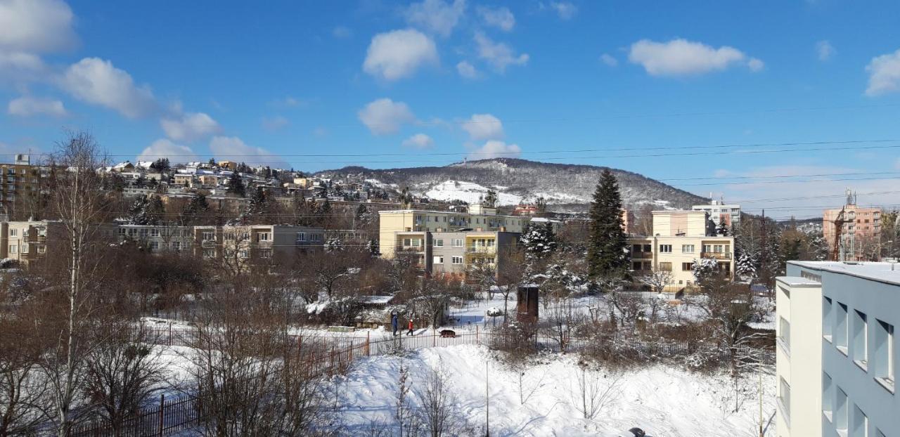 Penzion Institut Kösice Dış mekan fotoğraf