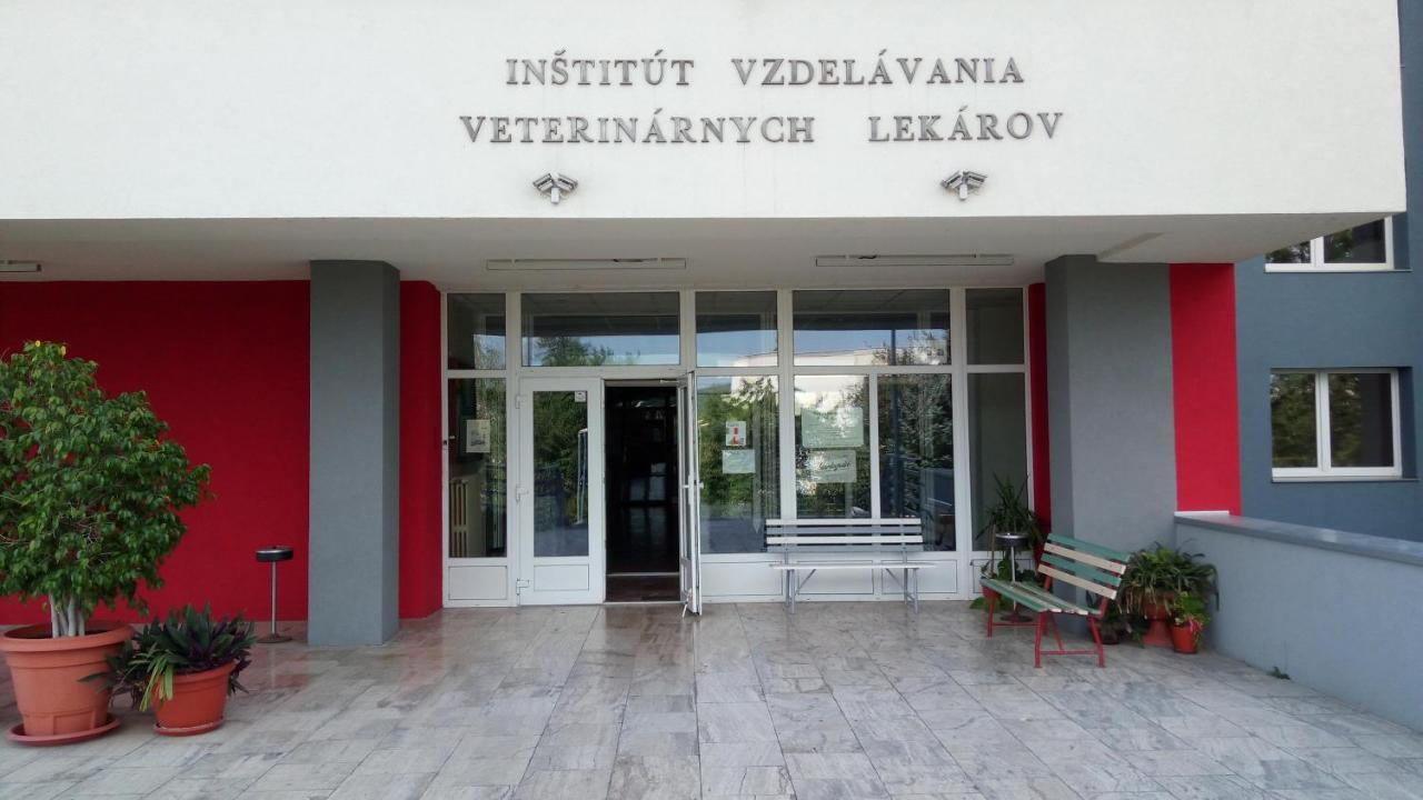 Penzion Institut Kösice Dış mekan fotoğraf