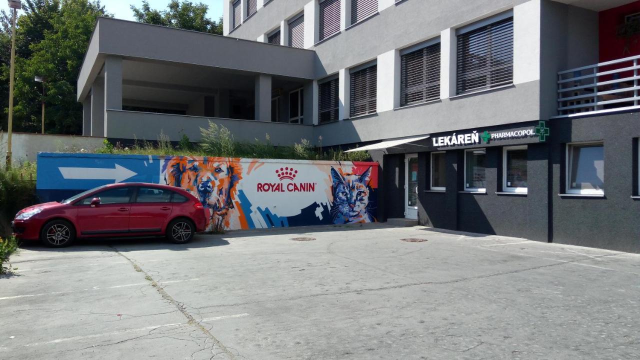 Penzion Institut Kösice Dış mekan fotoğraf